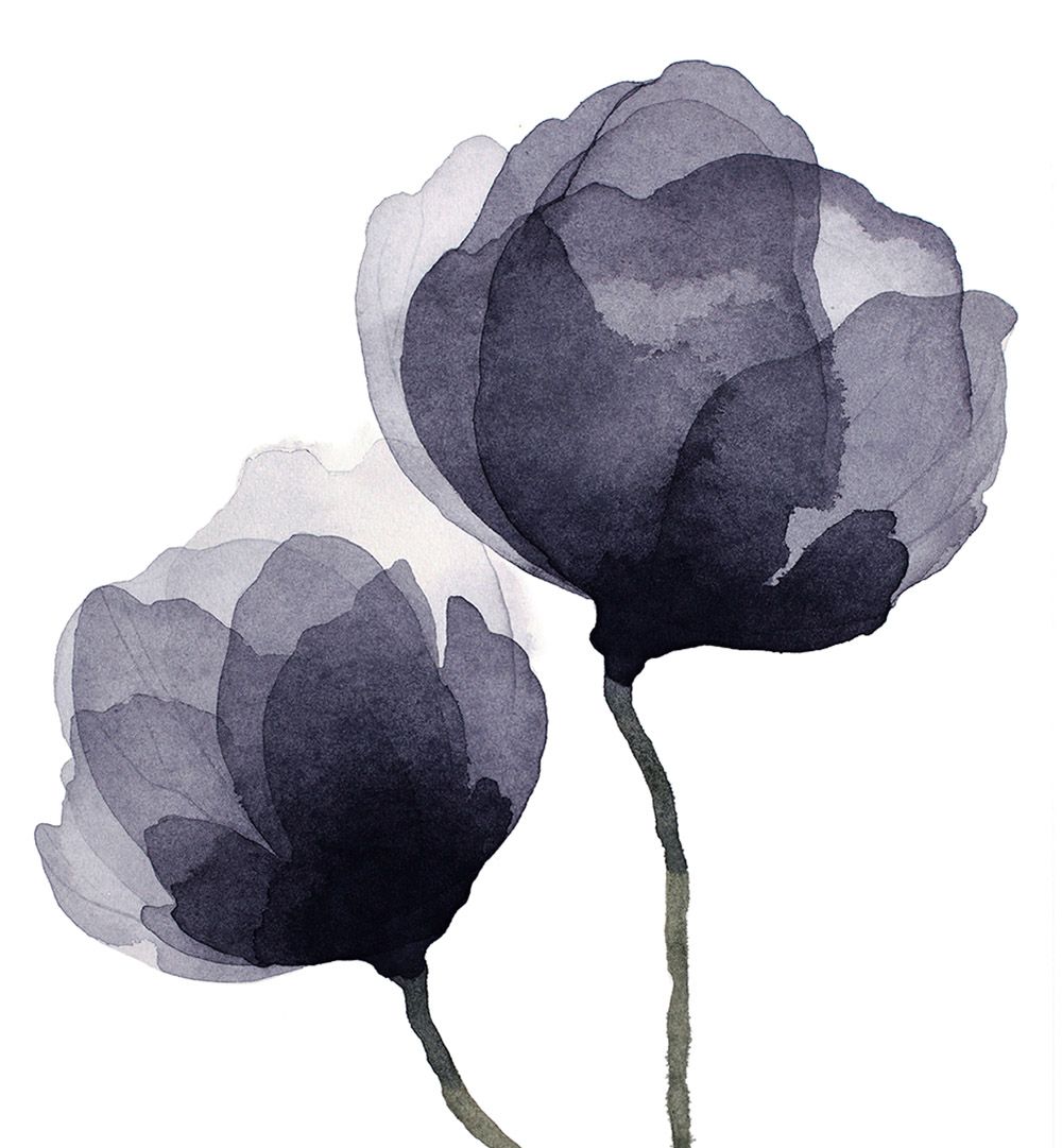 Malin Signahl: Fine Art Print “Flowers in January”